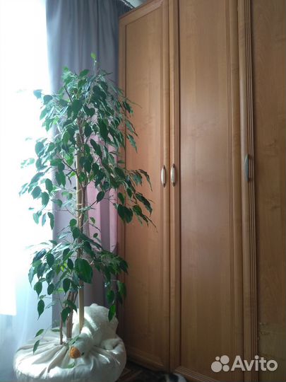 Шкафы, стеллаж, письменный стол с полками