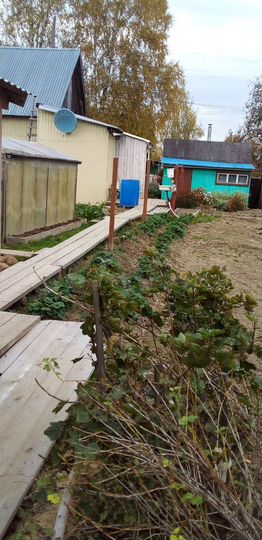 Дом 38 м² на участке 9 сот.