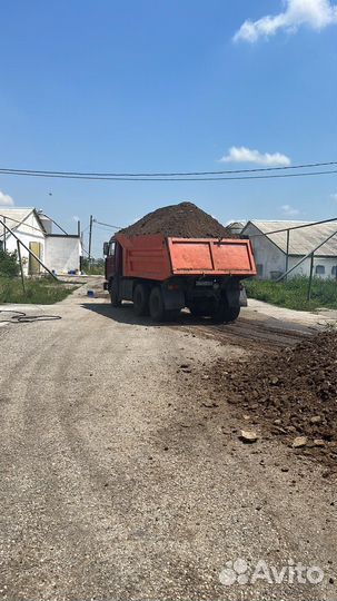 Куриный помет