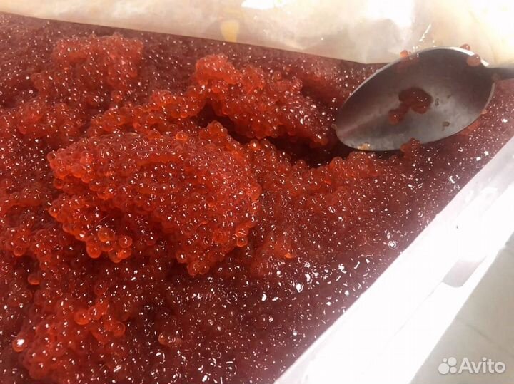 Икра Кеты опт