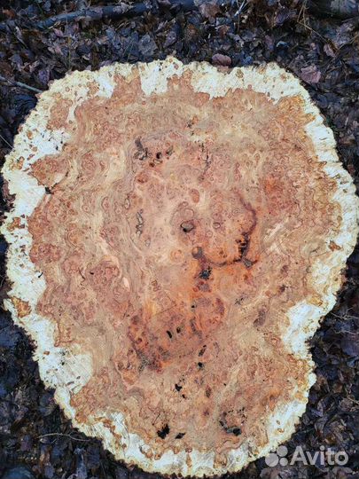 Каповый спил сувель слэб