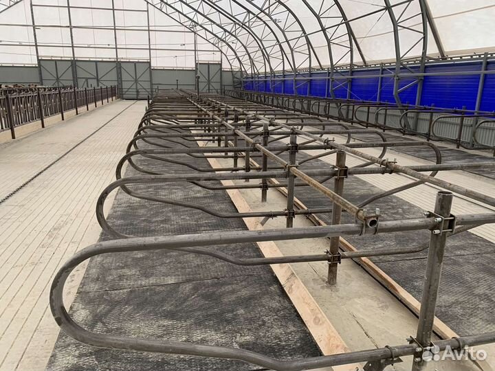 Стойла, беспривязь, привязь, дуги