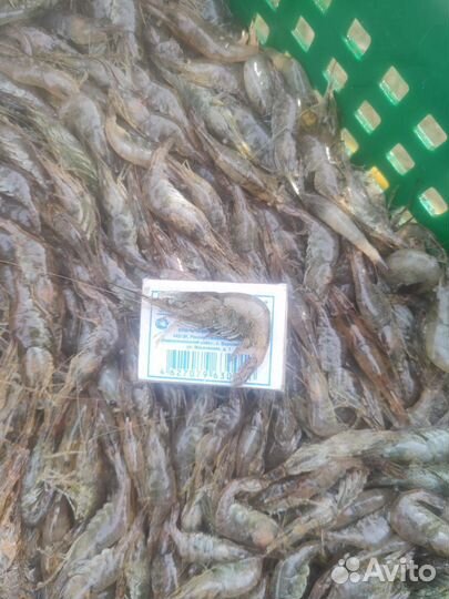 Креветка Черноморская вареная