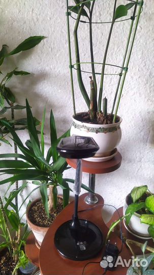 Пчелка с аккумулятором внутри