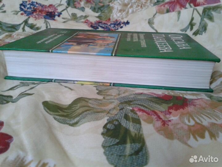 Шаг из-за черты