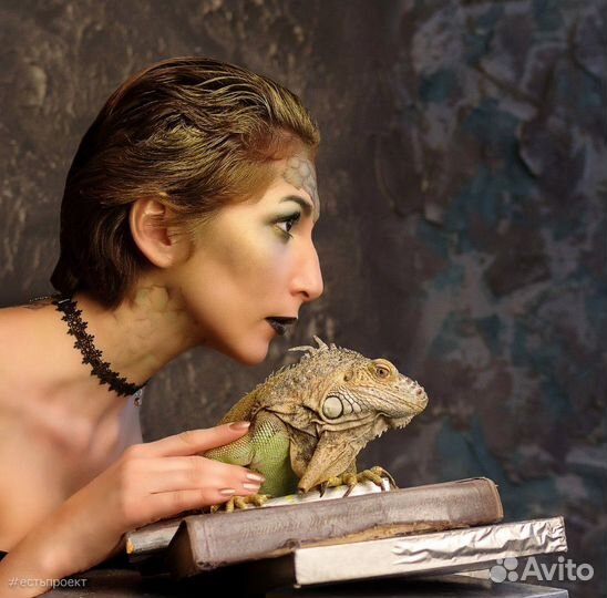 Рептилии, аренда