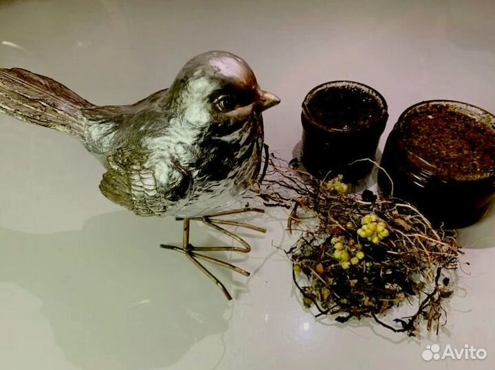 Мед для полового влечения