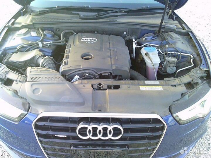 Nose cut Audi A5 8T 2.0 CDN 2013