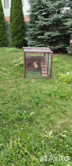 Клетка для декоративного кролика