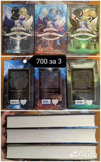 Школа добра и зла, Монстр том 1, Ведьмак