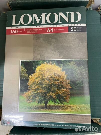 Фотобумага Lomond