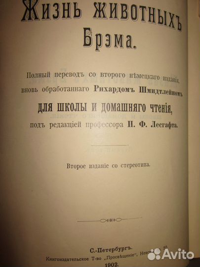 Брэм 2 тома 1902 год