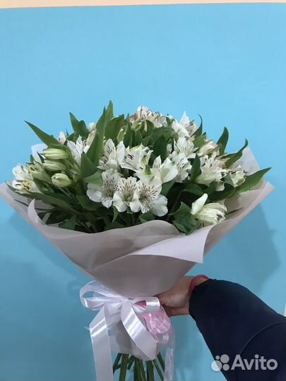 Альстромерия букеты цветы