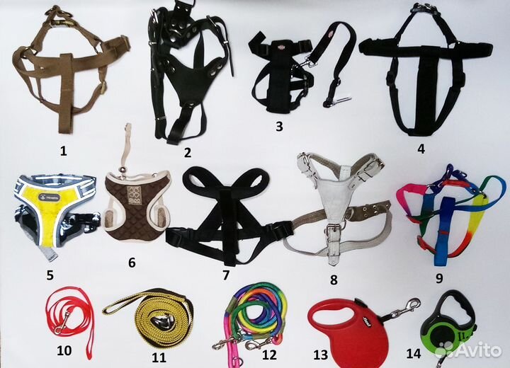 Ошейник, шлейка для собак