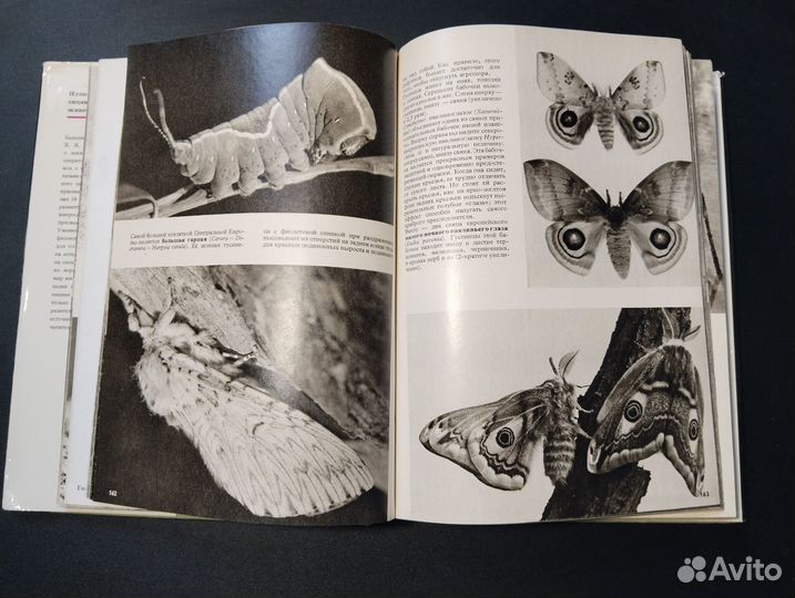 Иллюстрированная энциклопедия животных, 1983