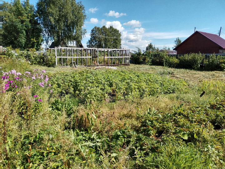 Дом 38 м² на участке 5,5 сот.