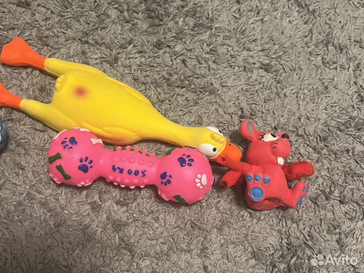 Игрушки для собак