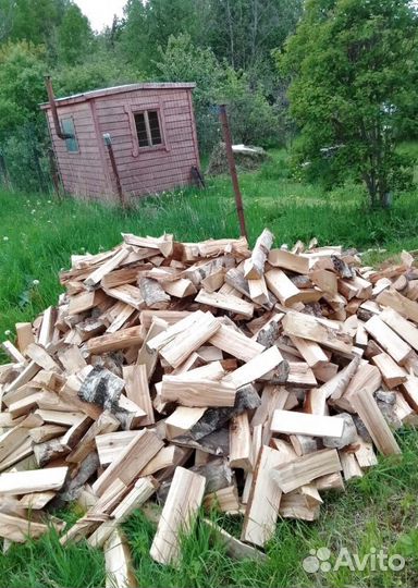 Дрова Осина любого объема от производителя в Приоз