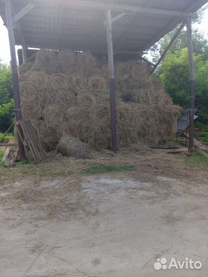 Сено тюкованное луговое