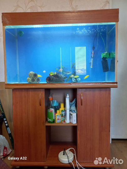 Аквариум с тумбой 220 литров с рыбками (цыхлиды)