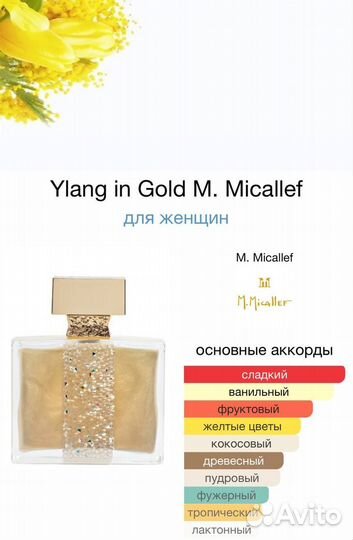 Ylang in Gold M. Micallef