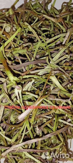 Лист одуванчика, стебли, цветки; лист крапивы