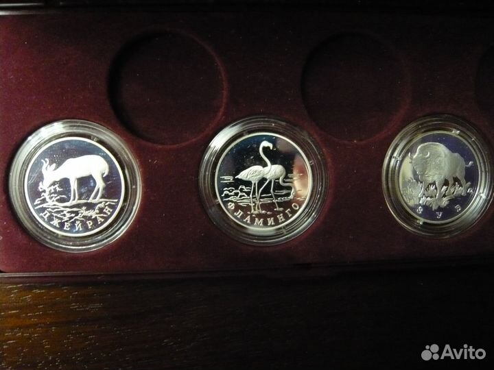 Памятные монеты Новой России Серебро