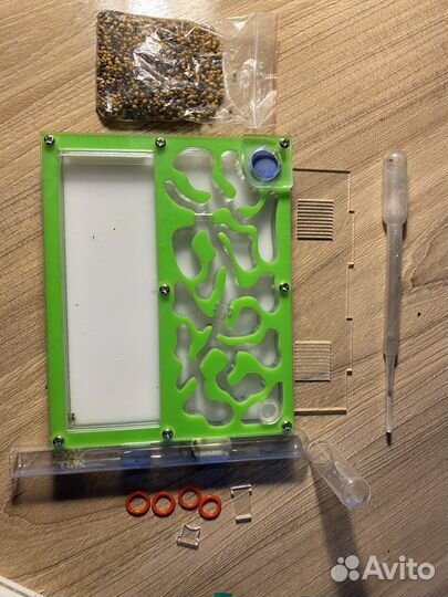 Муравейник