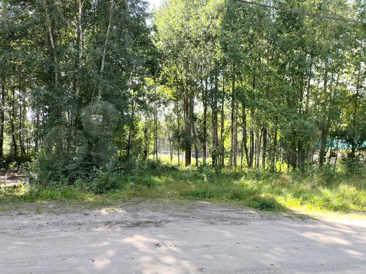 Участок 37 сот. (ИЖС)