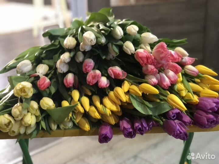 Тюльпаны доставка