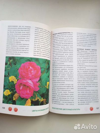 Книга О. Ганичкиной 