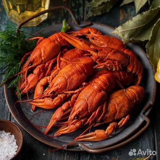 Раки живые и варёные