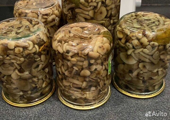 Грибы опята маринованные