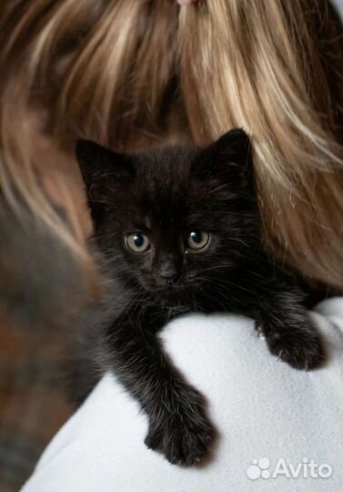 Малыш в добрые руки