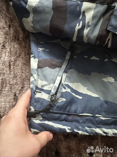 Кинологическая форма