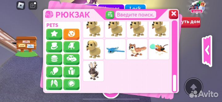 Петы из адопт ми