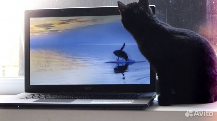 Acer Aspire E17 (17дюймов)