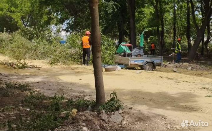 Измельчитель веток, щепорез аренда