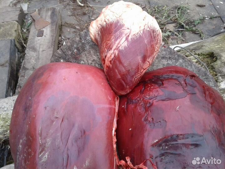 Говядина, субпродукты для собак