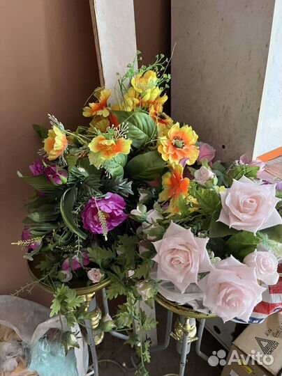 Ковер Львом 3д