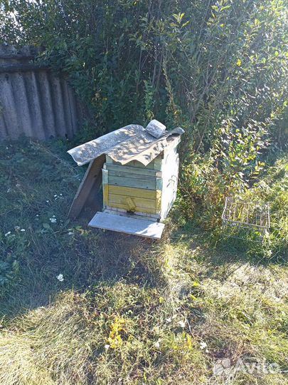 Улей с пчелами