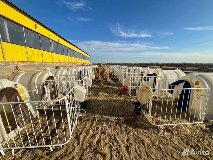 Грант для семейных ферм