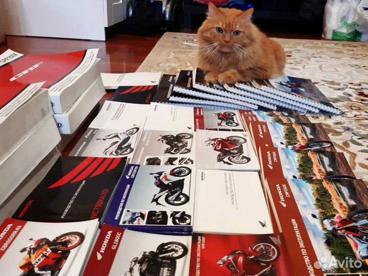 Инструкция по эксплуатации (мото) Honda