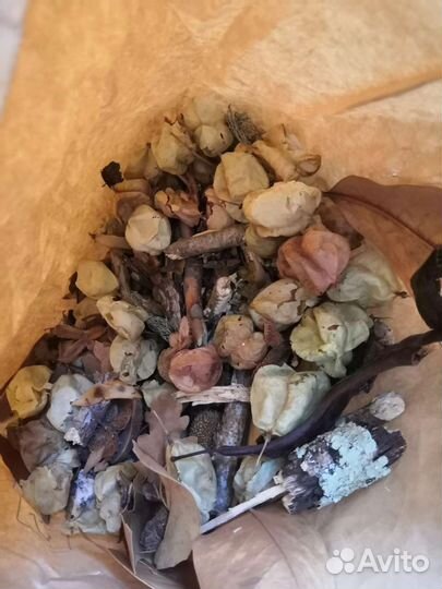 Наполнение для террариума