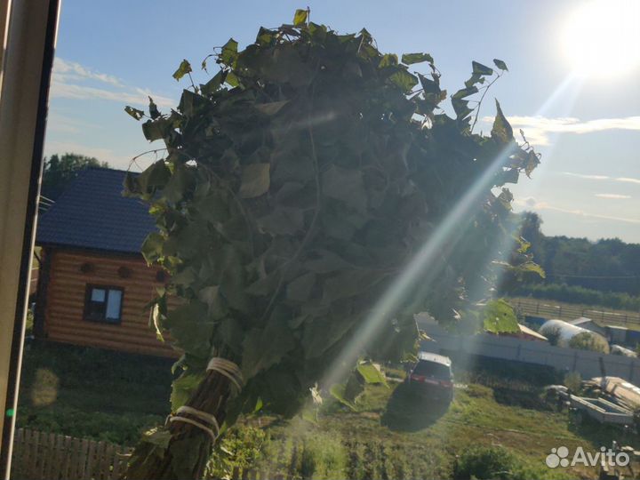 Березовые веники