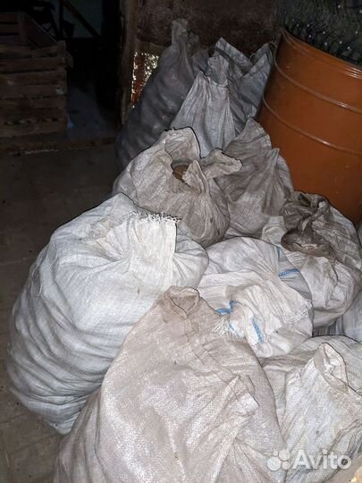 Картофель крупный / Также средний /Мелкий на корм