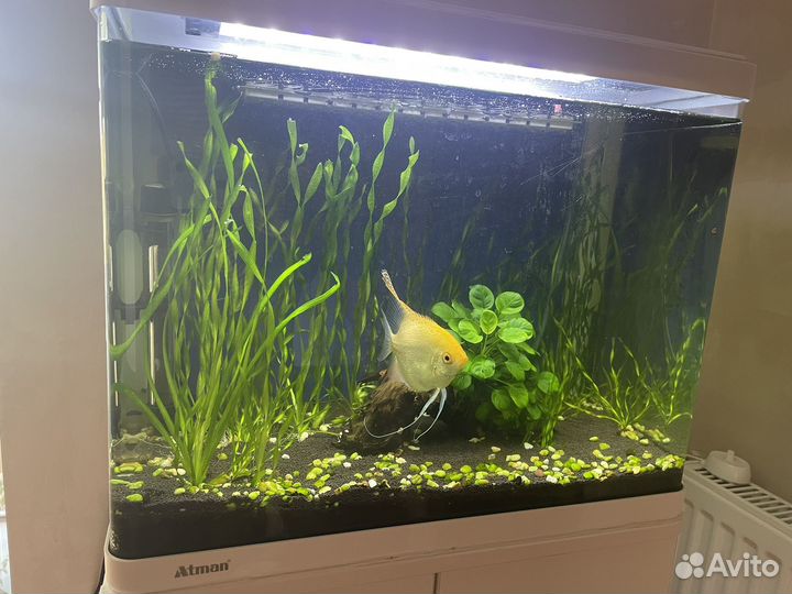 Аквариум с тумбой
