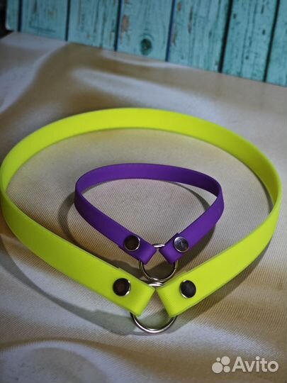 Амуниция для собак биотан