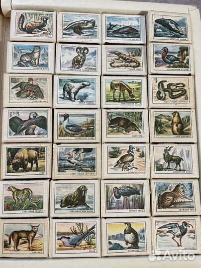 Спички коллекционные, Занесены в красную книгу