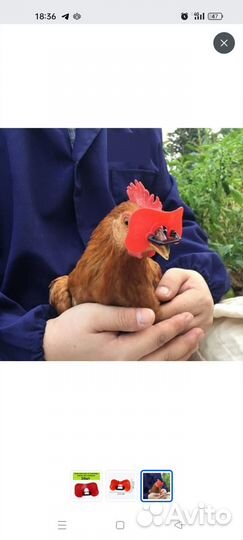 Очки от расклева